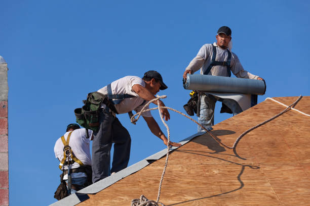 Best Metal Roofing Contractor  in Tangelo Park, FL