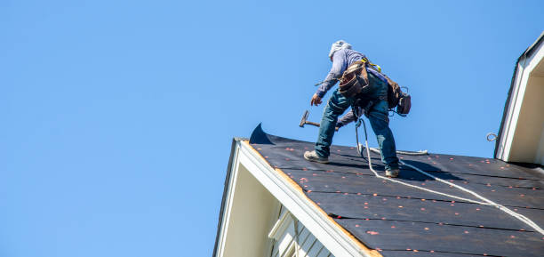 Best Local Roofing Companies  in Tangelo Park, FL